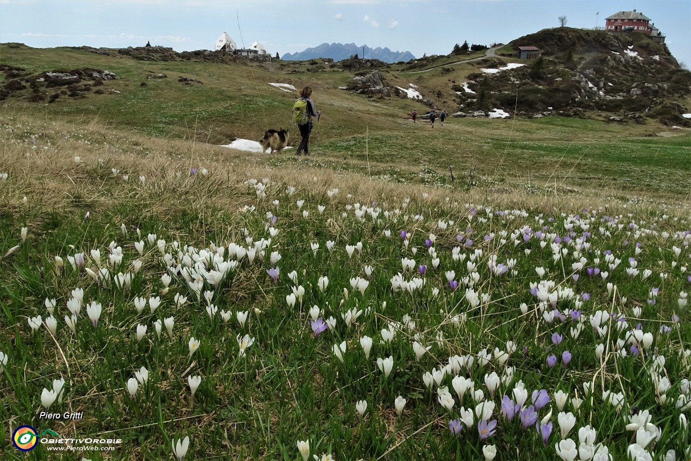 80 Verso i Rifugi Nicola e Cazzaniga.JPG